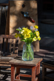 鲜花花艺蝴蝶洋牡丹