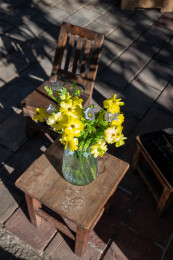 鲜花花艺蝴蝶洋牡丹