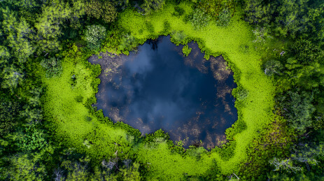 空中俯瞰翠绿环绕静谧湖泊