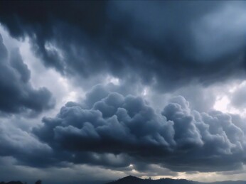 你是一位图片库搜索专家，请给我提供的这个