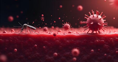 蚊子和病毒