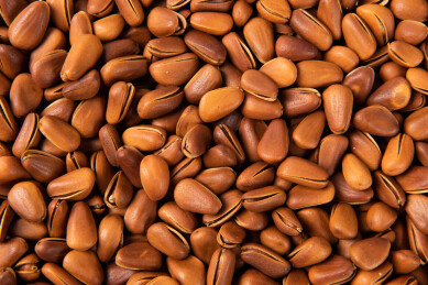 东北红松子小吃坚果特写