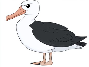 卡通风格的海鸟插图