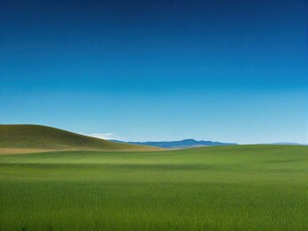 你是一位图片库搜索专家，请给我提供的这个