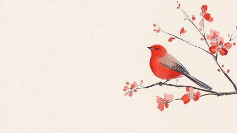 红鸟立在梅枝上