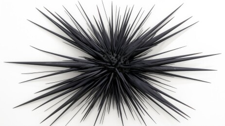 黑色海胆艺术装置