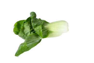 一棵带水滴的蔬菜