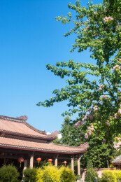 潮州海阳县儒学宫