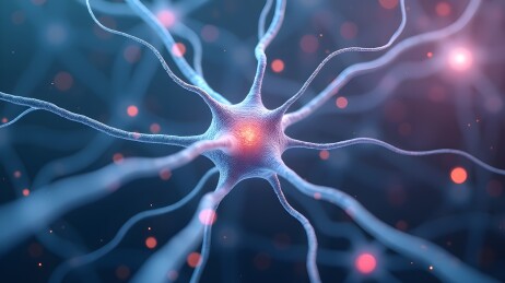 神经元网络的数字脉冲