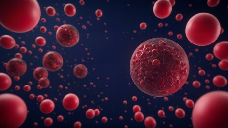 红细胞在血液中漂浮