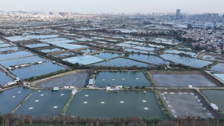 广东顺德：广东“小周庄”——逢简水乡