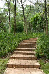 深圳市笔架山公园绿道