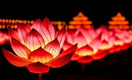 红莲灯饰夜景