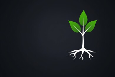 绿色嫩芽茁壮成长
