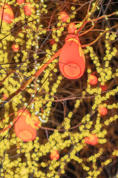 798艺术街区新春氛围装饰