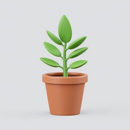 一颗小树在花盆中茁壮成长