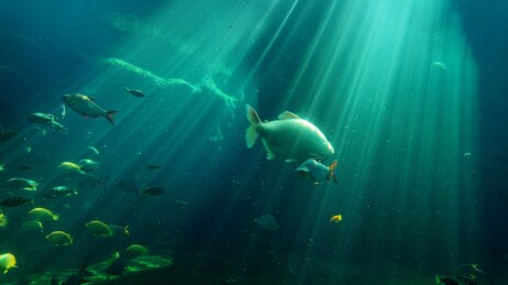 水族馆海底世界