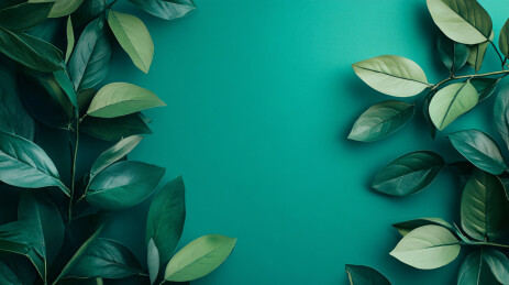 蓝绿背景上的翠绿叶片