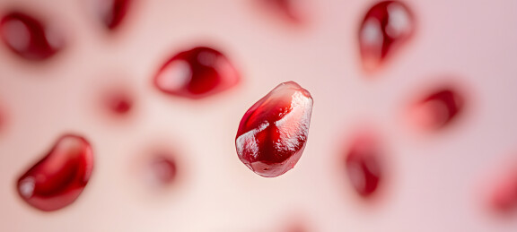 鲜红饱满石榴籽