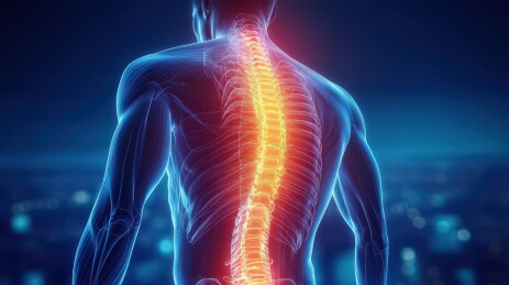 人体脊柱的医学影像