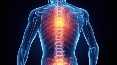 人体脊柱的医学影像