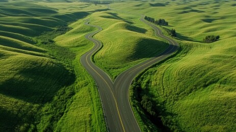 绿野田园分岔路