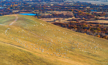 中国内蒙古秋天的黑山头