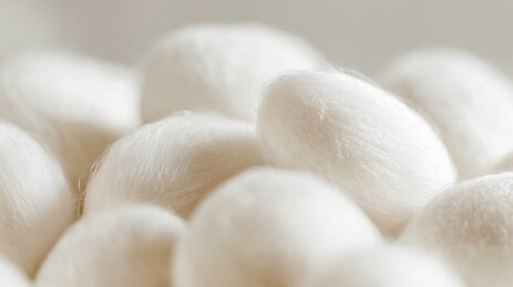 柔软的白色绒球