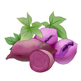 紫薯插画