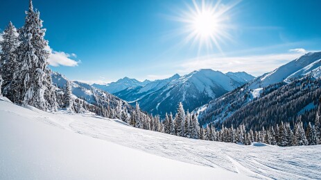 阳光下冰天雪地