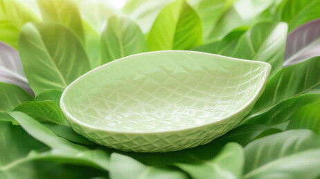 绿色植物中的陶瓷碗