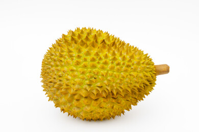 白色背景中一个泰国金枕榴莲