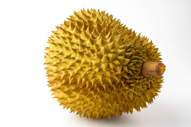 白色背景中一个泰国金枕榴莲