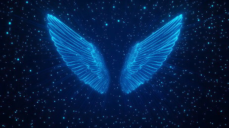 蓝色星空下的梦幻羽翼