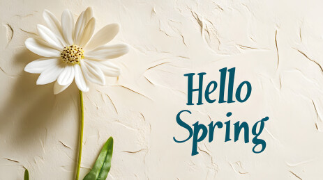白色雏菊旁写着HelloSpring