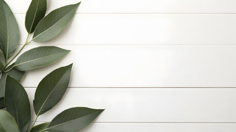 白色木板上的翠绿叶片