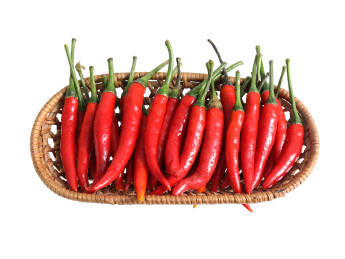 一堆蔬菜红色辣椒小米椒朝天椒特写的白底图