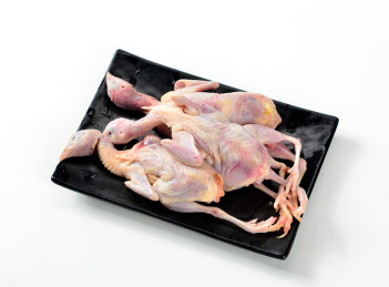 农家生鲜散养鹌鹑