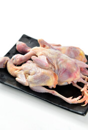 农家生鲜散养鹌鹑