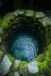 覆满青苔的水潭图