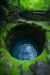 覆满青苔的水潭图