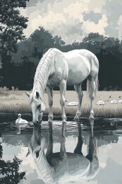 湖边白马饮水天鹅游弋