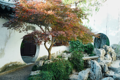 苏州园林艺圃南斋香草居园中园