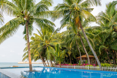 海南三亚市南山大小洞天景区的椰林风光