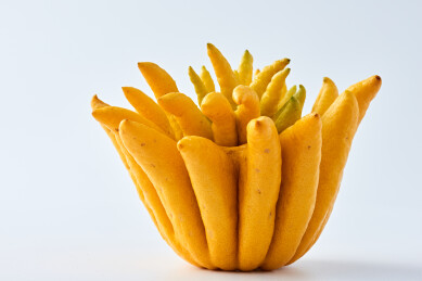 佛手柑品牌白底图