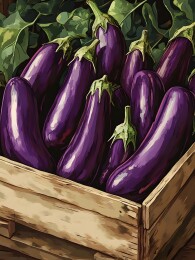 农贸市场摊位上整齐摆放的深紫色茄子