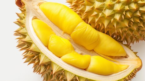 榴莲果肉诱人特写