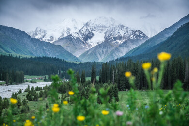 中国新疆伊犁昭苏夏塔古道草原雪山自然风光