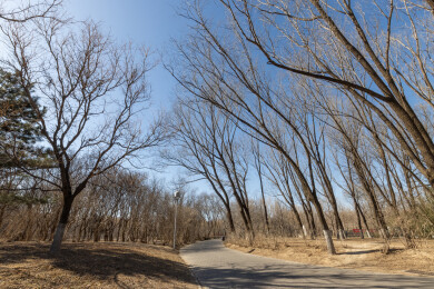 冬日暖阳下的北京奥林匹克公园步道