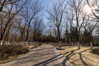 冬日暖阳下的北京奥林匹克公园步道